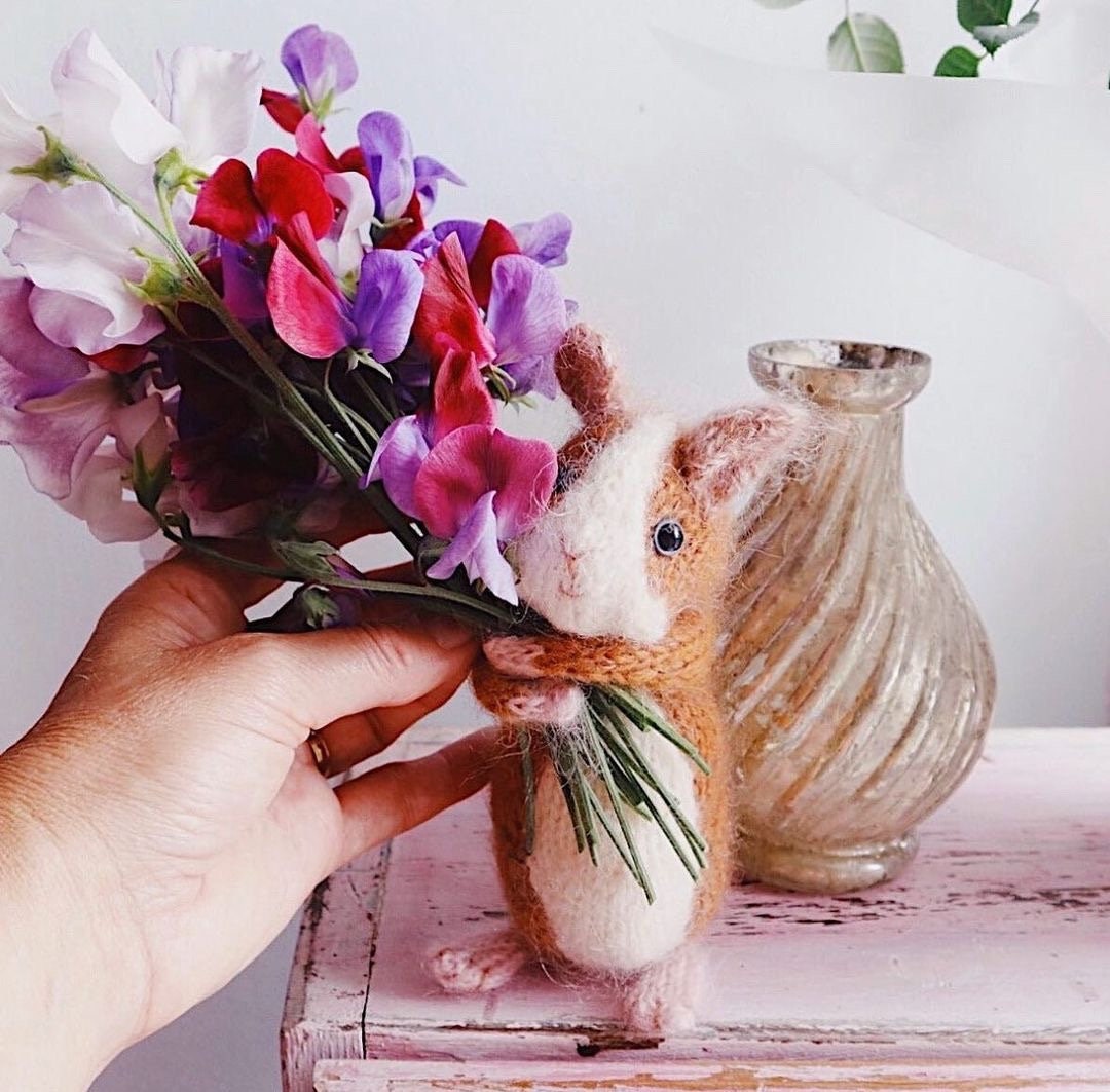 Four guinea pigs knitting kit