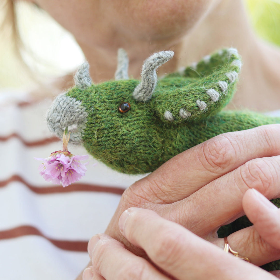 Dinosaur knitting kit