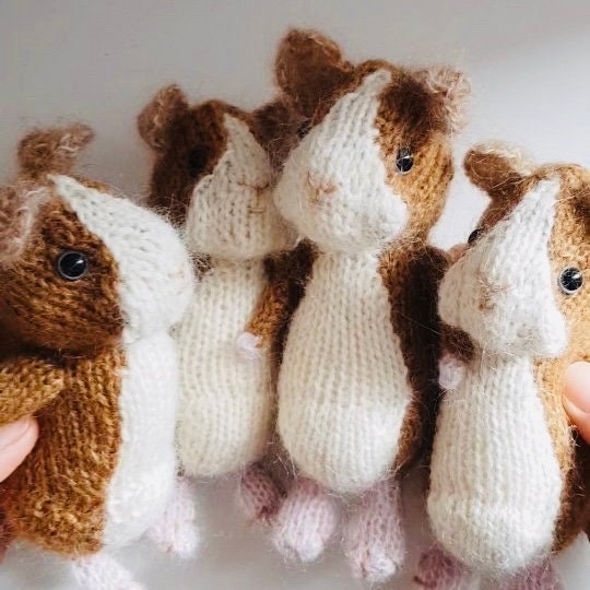 Four guinea pigs knitting kit