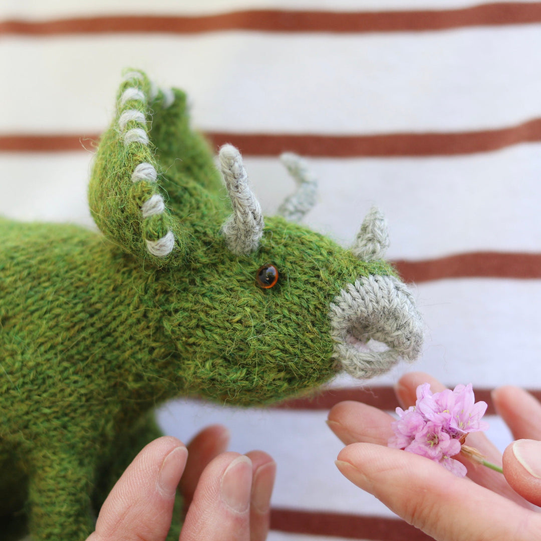 Dinosaur knitting kit