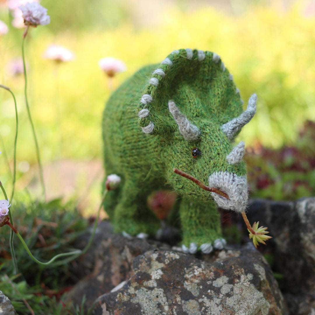 Dinosaur knitting kit