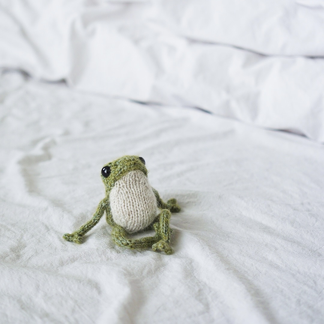 Little Frog Knitting Kit - Knitted Home